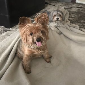 Meet your Posher, Kim